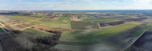 Pre-spring fields